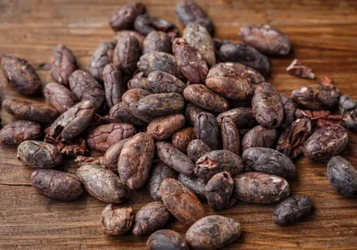 cacao-bean-2522918_960_720-1